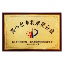 嘉興市專(zhuān)利示范企業(yè)